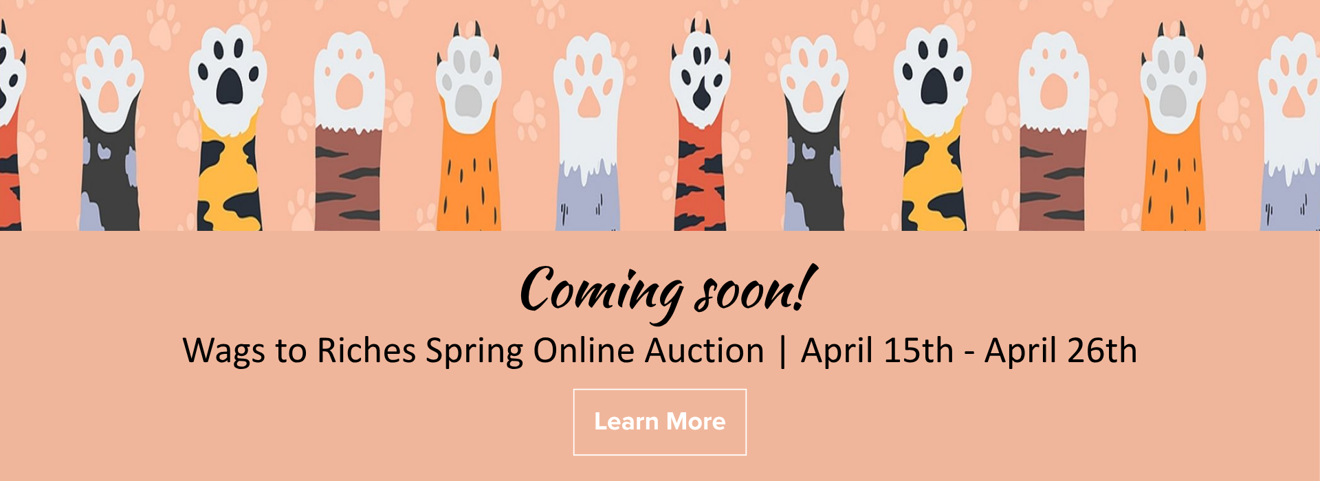 Wags to Riches Spring Online Auction